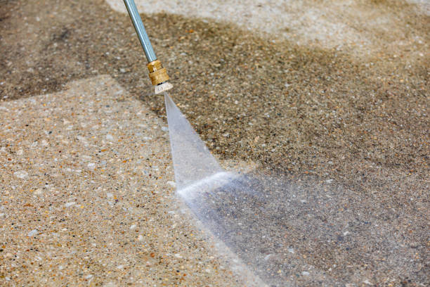 Best Solar Panel Cleaning  in Vidor, TX