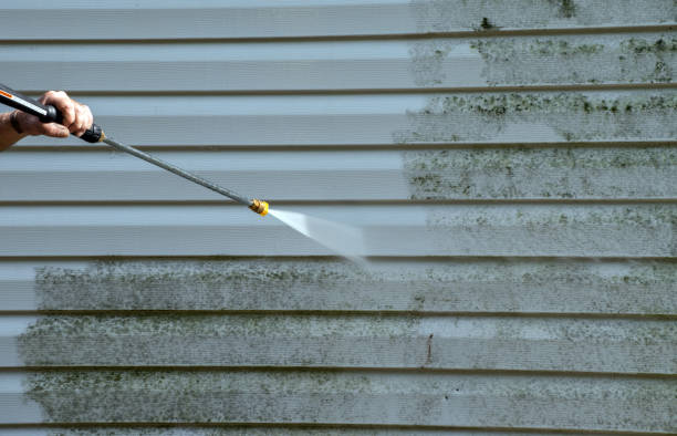 Best Fence Cleaning  in Vidor, TX