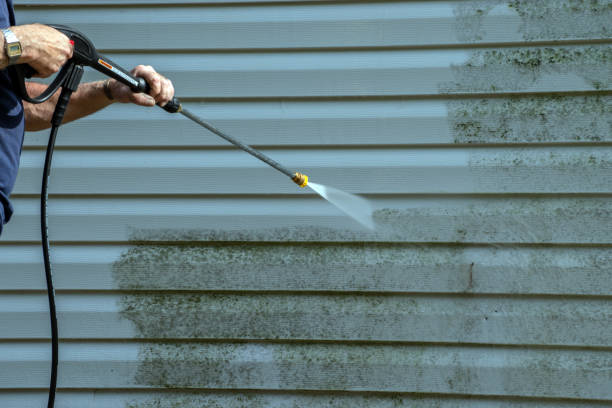 Best Roof Washing  in Vidor, TX
